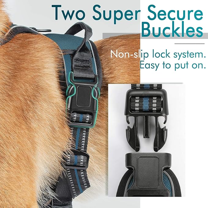 rabbitgoo Dog Harness No Pull with 2 Leash Clips, Adjustable Soft Padded, Reflective Oxford No Choke Pet Vest with Easy Control Handle for Small Dogs, Blue Coral, S