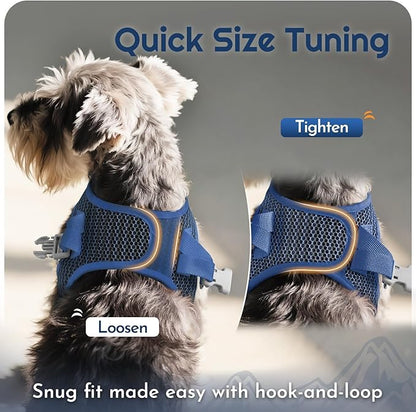 Eagloo Small Dog Harness and Leash Set, Step in Puppy Vest with Breathable Soft Mesh, Walking Reflective Pet Harness for Medium Small Dogs, Navy Blue, L