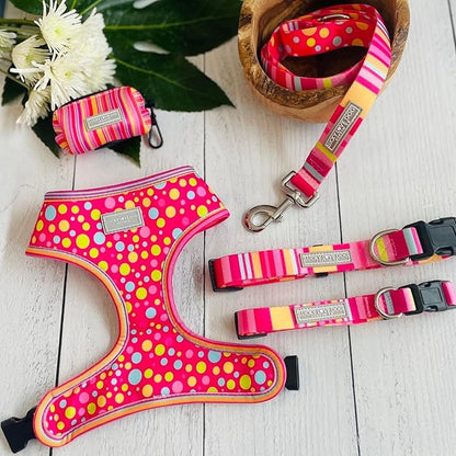 Lucky Love Dog - Easy Click Buckle Dog Collar with Leash Set Combo, Durable & Comfortable for Male & Female Dogs, Pet Collar for Small Dogs, Secure Fit - Molly Combo, Extra Small