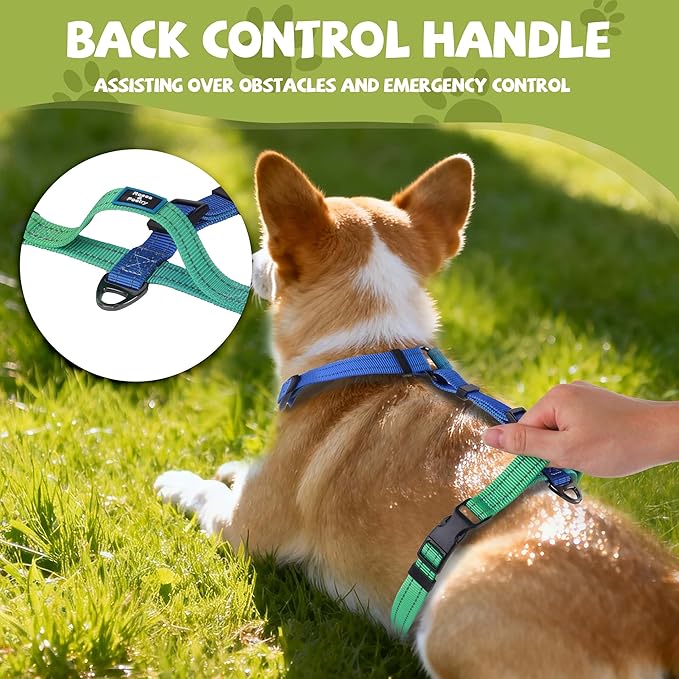 Roses&Poetry Dog Harness Small Sized Dog, 6 Point Adjustable Fit No Pull Harness with Handle for Control and Easy Walking, Reflective Pet Halter Harnesses（Bluegreen-S）
