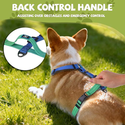 Roses&Poetry Dog Harness Medium Sized Dog, 6 Point Adjustable Fit No Pull Harness with Handle for Control and Easy Walking, Reflective Pet Halter Harnesses（Bluegreen-M）