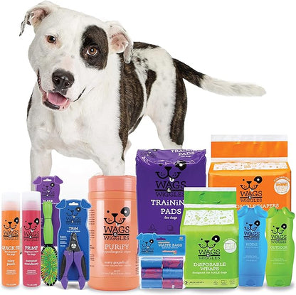 Wags & Wiggles Freshen Deodorizing Wipes for Dogs -Eliminate Odors from Your Dog's Coat -Fresh Strawberries | Easy and Convenient Way to Freshen Your Pet Without A Bath, FF12825, 100 Count (Pack of 2)