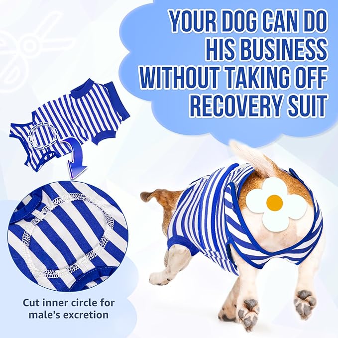 Lukovee Recovery Suit for Dogs, Zipper On Recovery Suit for Female Male Dog, Onesie Abdominal Wounds Cone E-Collar Alternative Prevent Licking Spay Recovery Suit (M, BL)