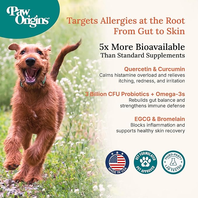 Paw Origins Dog Allergy Chews (60 Ct.) - Clear-Allergies Itch for Immune & Gut Support - Dog Allergy Relief Chews with 3 Billion CFU Probiotic Blend and Omega 3 for Seasonal Allergies - Beef Flavor