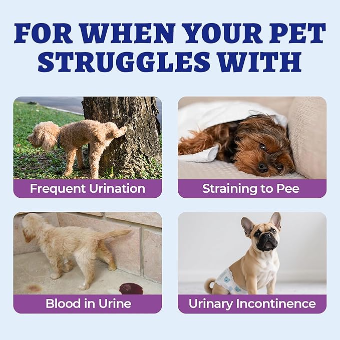 260 Bites Wellix Urinary Bites for Dog UTI Treatment - Cranberry Supplement with D-Mannose Marshmallow Root for Dogs Urinary Tract & Kidney Bladder Support - Chicken Flavor