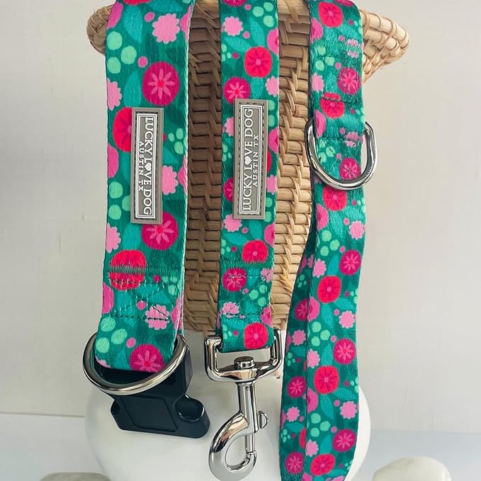 Lucky Love Dog Martingale Dog Collar & Leash - Adjustable, No-Slip, Durable, Comfortable, Soft Webbing, & Stylish Patterned Collar & Leash Set for Male and Female Dogs - Penny Combo, Medium