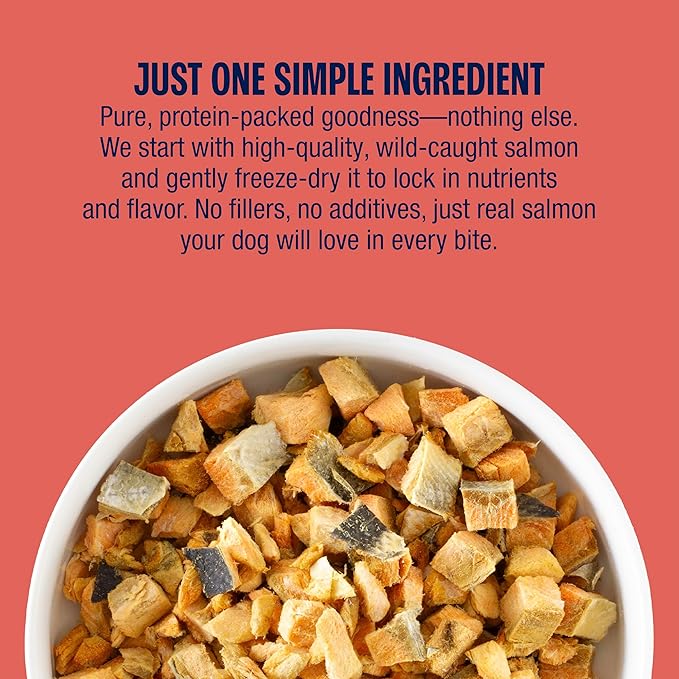 Muenster New Freeze Dried 100% Salmon Bites - Only One Ingredient Raw Salmon Freeze Dried for a Healthy and Delicous Treat. 3 Ounce (Pack of 1)