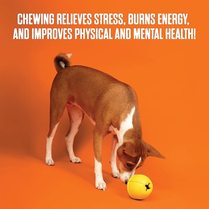 BULLYMAKE Orange Toss N' Treat Keg Toy for Dogs, Durable Rubber Dog Toys for Aggressive Chewers, Dental Stimulating, Treat Dispensing, Boredom Busting, Pet Supplies, Made in USA