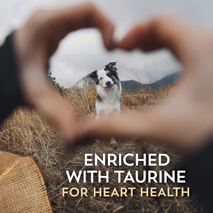 Wholesomes Sensitive Large Breed with Salmon Protein Dry Dog Food 30 lb