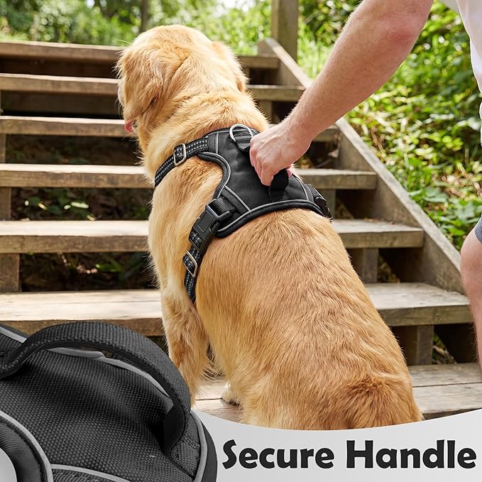 Funfox Dog Harness for Large Dog No Pull, Adjustable Pet Vest Harness, Vertical Handle Easy Control with 2 Leash Clips, Reflective Safe Night Walking for Small Medium Large Size, Black, L