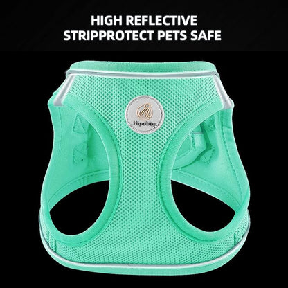 Hipubby Dog Harness and Leash Set, No Pull Soft Mesh Puppy Harness for Small Medium Dogs, Cats - Step in Reflective Breathable Lightweight Vest Harness for Walking, Training - Green, XS