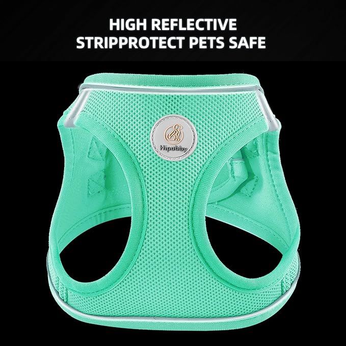 Hipubby Dog Harness and Leash Set, No Pull Soft Mesh Puppy Harness for Small Medium Dogs, Cats - Step in Reflective Breathable Lightweight Vest Harness for Walking, Training - Green, XXS