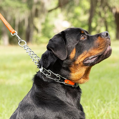 Herm Sprenger Chrome Plated Steel Dog Collar with Quick Release ClicLock Buckle O-Ring Biothane Insert Training Collar Made in Germany (Hunter Orange, 25in x 4.0mm(Neck Size up to21-22in))