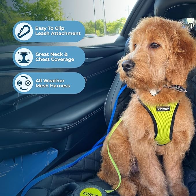 Best Pet Supplies Voyager Step-in Air All Weather Mesh Harness and Reflective Dog 5ft Leash Combo with Neoprene Handle, for Small, Medium and Large Breed Puppies - Set (Lime/Black Trim), X-Small