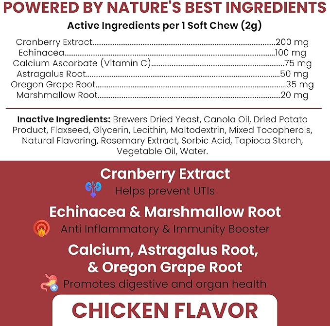 Dog UTI Treatment Cranberry Supplement for Dogs, 120 Soft Chews - Natural Urinary Tract Infection Support and Healthy Bladder Control – Made with Echinacea and Vitamin C