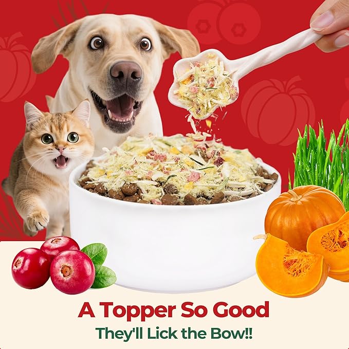 Wellix Pet Freeze Dried Treats for Cats&Dogs - High Protein Cat&Dog Food Topper 3 Ingredients Added (Cat Grass/Cranberry/Pumpkin) for Puppy or Kitten Treat 7.05oz