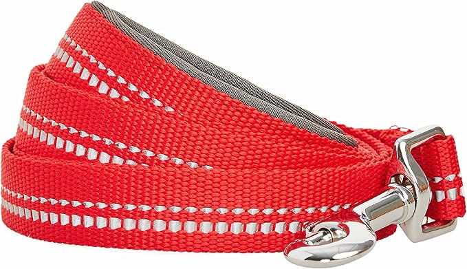 Blueberry Pet 3M Reflective Pastel Color Dog Leash with Soft & Comfortable Handle, 5 ft x 5/8", Red, Small, Leashes for Dogs