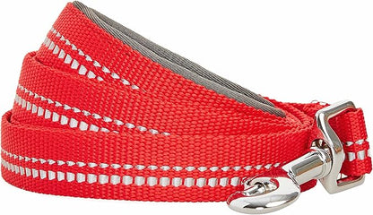 Blueberry Pet 3M Reflective Pastel Color Dog Leash with Soft & Comfortable Handle, 5 ft x 5/8", Red, Small, Leashes for Dogs