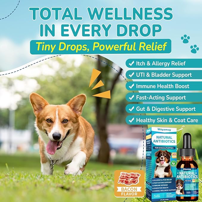 Woyamay Antibiotics for Dogs | Natural Dog Antibiotics for Allergy Relief, Itch Relief, Coughs, Skin Health, Breath Treatment, Digestion | Herbal Supplement to Care for Ears, Eyes & Coat, 2 Fl Oz
