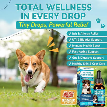 Woyamay Antibiotics for Dogs | Natural Dog Antibiotics for Allergy Relief, Itch Relief, Coughs, Skin Health, Breath Treatment, Digestion | Herbal Supplement to Care for Ears, Eyes & Coat, 2 Fl Oz