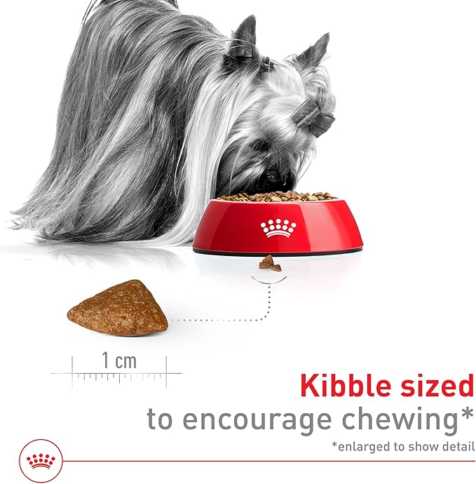 Royal Canin X-Small Aging 12+ Dry Dog Food, 2.5 lb bag