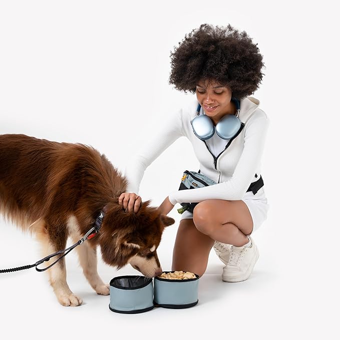 OllyDog Superbowl | Collapsible Dog Travel Bowl | 2 Compartment Food & Water | Foldable| Portable Dog Bowl | Hiking, Camping (St. Lucia)
