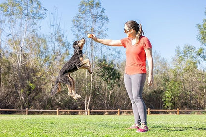 Chuckit! Birthday Fetch Ball, Medium (2.5 Inch Diameter), for Dogs 20-60 lbs, Pack of 1