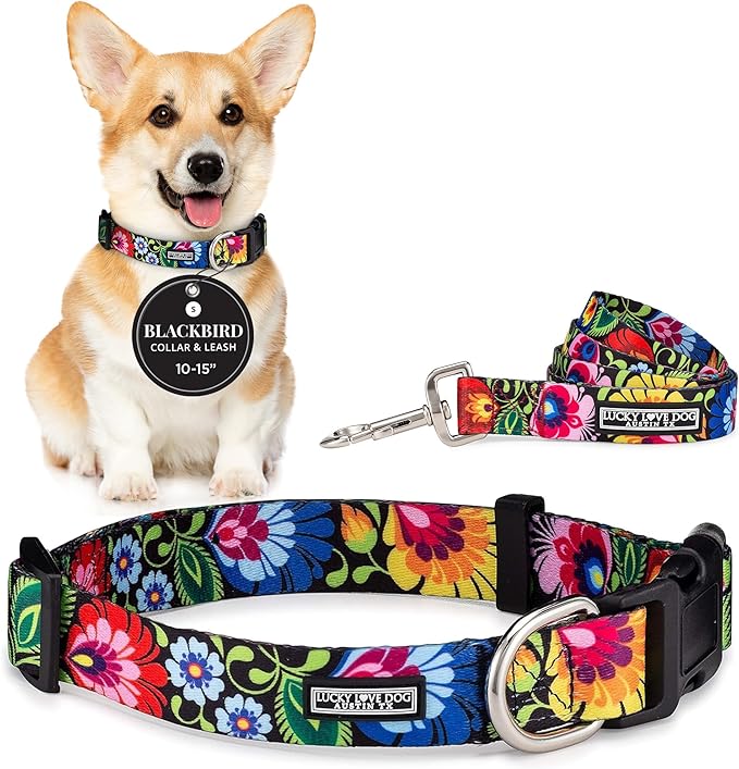 Lucky Love Dog - Easy Click Buckle Dog Collar with Leash Set Combo, Durable & Comfortable for Male & Female Dogs, Pet Collar for Small Dogs, Secure Fit - Blackbird Combo, Small