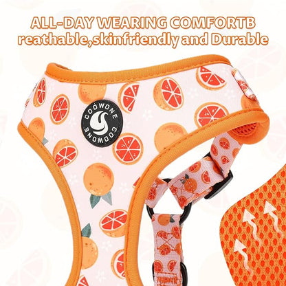 Dog Cat Harness and Leash Set, Puppia Soft Mesh Padded and Adjustable Puppy Vest Cute Dog Clothes Escape Proof Easy Walk Pet Accessories (Grapefruit, S (Neck 10.6"-13"; Chest 14"-19.6"))