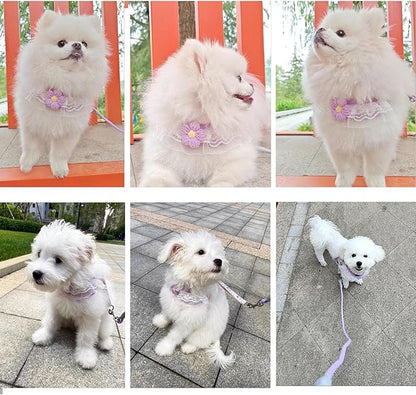 Cat Harness Collar and Leash Set, Sweet Lace Floral Kitten Collar, Escape Proof Puppy Chest Harness, Adjustable Cute Harness Leash Set for Cat Puppy Dog Outdoor Walking (Purple, M)