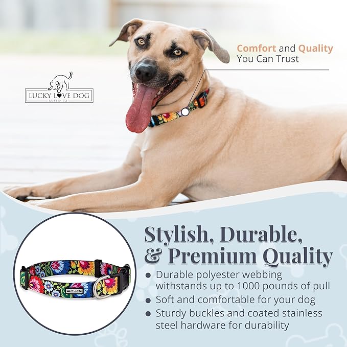 Lucky Love Dog - Adjustable Dog Collar with Easy Click Buckle for Small Dogs, Durable, & Comfortable for Male & Female Dogs, Pet Collar for Puppies & Adult Dogs - Blackbird, Small