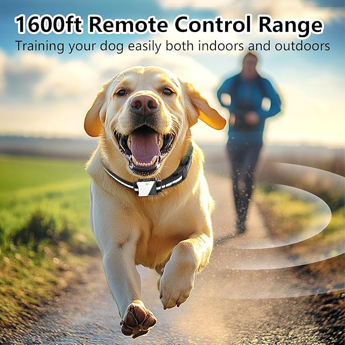 Shock Collar for Dogs, Dog Training Collar with Remote Control for 2 Dogs, 3 Training Modes with Beep, Vibration and Satic, Waterproof, Rechargeable for Large Medium Small