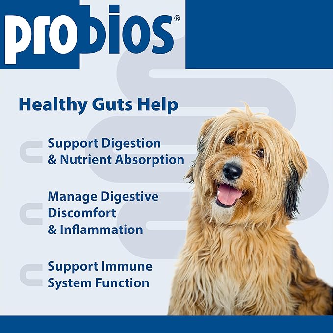 Probios Chewable Tablets for Dogs, Daily Probiotic Supplment for Gut Health, Digestion & Immune Support, 45 Count