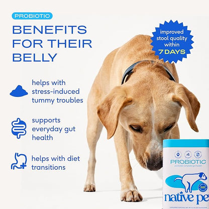 Native Pet Probiotics for Dogs – Dog Probiotic Powder for Gut & Digestive Health, Vet-Formulated 6B CFUs Dog-Specific Probiotic Strains, Supports Stool Quality & Diet Transitions – 240 Scoops