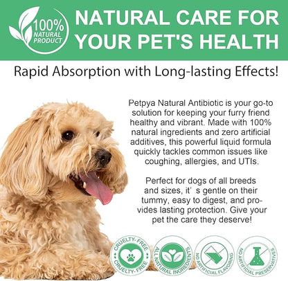 2 Pack Antibiotics for Dogs, Natural Antibiotics for Dogs, Dog Antibiotics, Dog Supplies Antibiotics, Dog Multivitamin for Pets, Natural Dog Antibiotics Supports Dog Allergy and Itch Relief