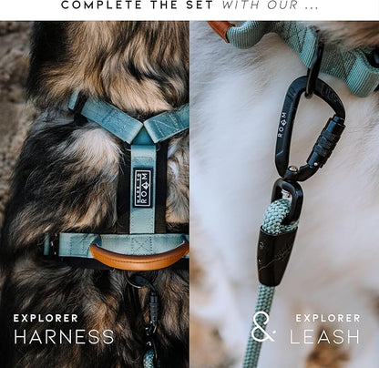 Made to ROAM Premium Explorer Control Collar - Adjustable Heavy Duty Nylon Dog Collar with Quick-Release Metal Buckle and Handle (Oregon Haze, Control Size 3)