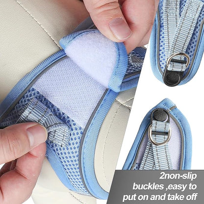 Dog Harness for Small Dogs and Leash Set, Honeycomb Grid, Reflective Lightweight Harness & Anti-Twist Pet Lead Multi Color, Size: XS-S-M. (S, Aqua Blue)