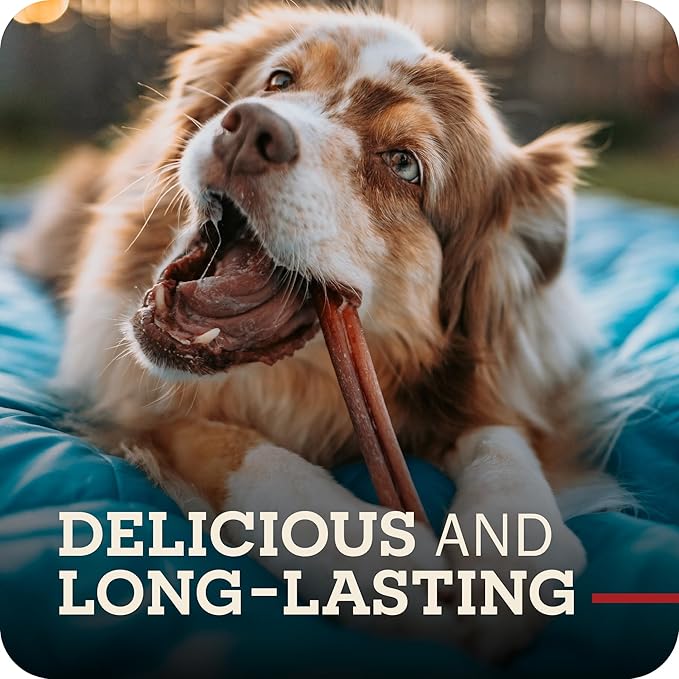 Redbarn Pet Products 9" Bully Sticks for Dogs, Pack of 50