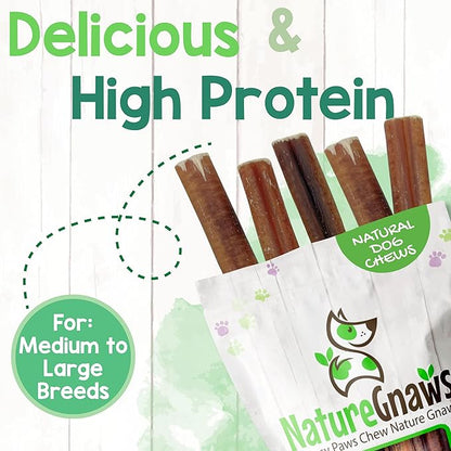 Nature Gnaws Large Bully Sticks for Dogs 11-12" (10 Count) - Thick Long Lasting for Aggressive Chewers and Large Dogs - Natural Beef Dog Chew Bones