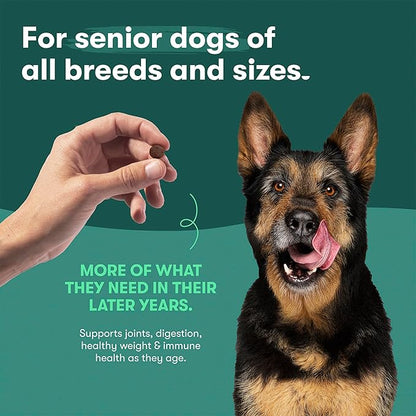 Jinx Premium Dry Dog Food for Senior Dogs - Real Chicken, Brown Rice & Sweet Potato Kibble with Antioxidants for Immune Support & Whole Grains for Digestive Support - No Fillers - 23.5lb