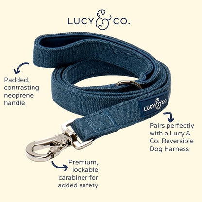 Lucy & Co. 5 Foot Designer Dog Leash for Small, Medium or Big Dogs or Puppies Puppy – Pet Accessories & Supplies- Small-Blue Denim