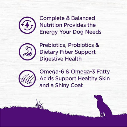Wellness Complete Health Adult Dry Dog Food, Wholesome Grain Kibble, Natural, Beef and Barley Recipe, 5 lb Bag