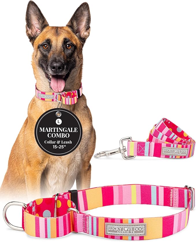 Lucky Love Dog Martingale Dog Collar & Leash - Adjustable, No-Slip, Durable, Comfortable, Soft Webbing, & Stylish Patterned Collar & Leash Set for Male and Female Dogs - Molly Combo, Large