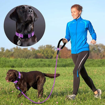 Ladoogo Reflective Dog Collar Padded with Soft Neoprene Breathable Adjustable Nylon Dog Collars for Small Medium Large Dogs (Large (Pack of 1), Purple Collar+Leash)