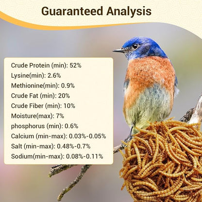 10lbs Dried Mealworms Bulk – High Protein Chicken Treats, Wild Bird Food & Feed Supplement | Non-GMO Mealworms for Chickens, Birds, Reptiles, Turtles & Hamsters