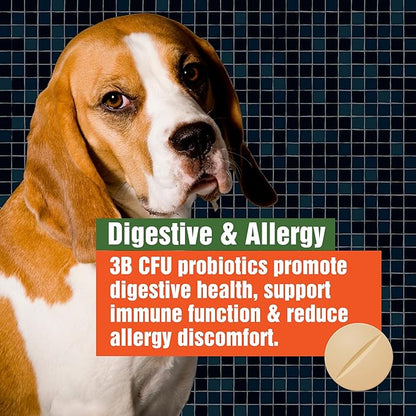 Army Soldier Owned Dog Probiotics for Yeast, Itchy Skin & Itchy Ears, Dog Allergy Relief, Digestive Health, Occasional Diarrhea & Immune Support, 3 Billion CFU, 60 Yummy Chewables