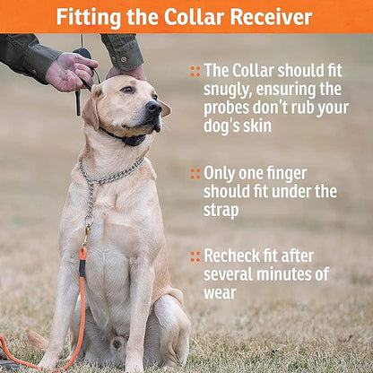SportDOG WetlandHunter 425X Remote Trainer - Reliable Off-Leash Control - Rechargeable - Waterproof DryTek Technology - Adjustable Training Collar - Camouflage - 500-Yard Range, 2 Collars