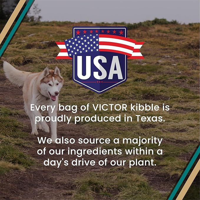 VICTOR Super Premium Dog Food – Hi-Pro Plus Dry Kibble – High Protein Dog Food with 30% Protein – Beef, Chicken, Pork, Fish Meals, Gluten Free - for High Energy and Active Dogs & Puppies, 50lbs