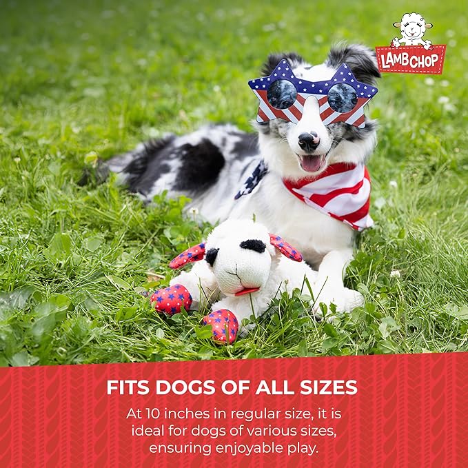 Multipet Lamb Chop Dog Plush Toy - Squeaky Toy for Small & Medium Dogs - Extra Soft Plush - Stuffed Animal for Cuddling & Playing (10",Cream,5 Squeakers),(Pack of 2)