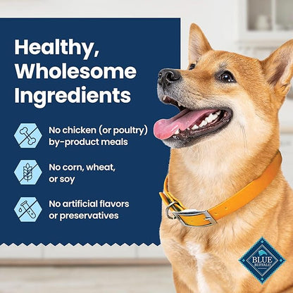 Blue Buffalo Medium Dental Chews for Dogs, Daily Dental Care Dog Treats Made in the USA with Natural Ingredients, Chicken & Spearmint (14 Count)